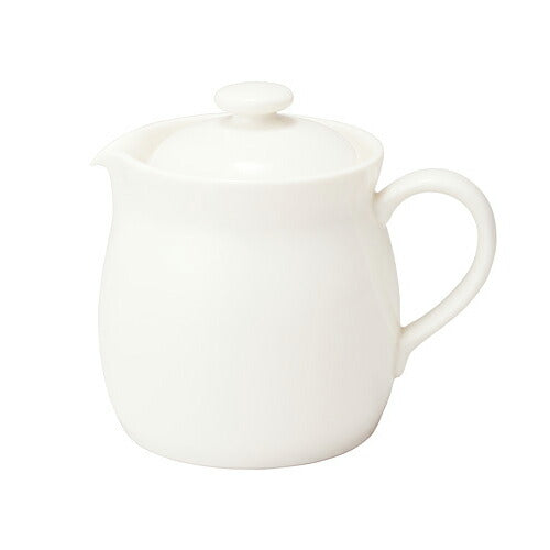 森修焼 ポット(茶こし付)【送料無料】日本製 電子レンジ対応 食洗機対応 遠赤外線効果 陶器 天然石 安心 安全 日本製陶器 鉛フリー カドミウムフリー