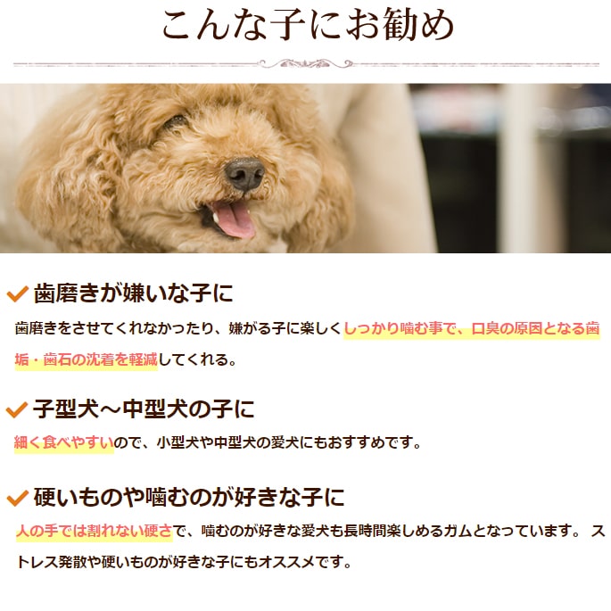 帝塚山ハウンドカム 国産牛皮細巻きガムハード 10本