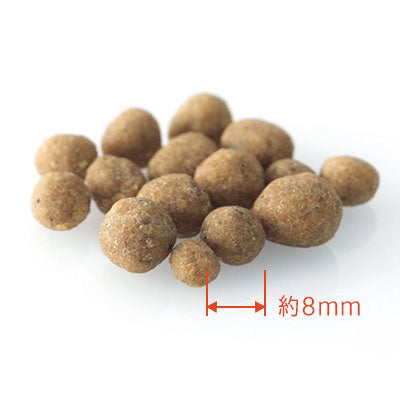 ドットわん 鶏ごはん 3kg(1kg×3) 国産 無添加 送料無料 犬用品/ペットグッズ/ペット用品