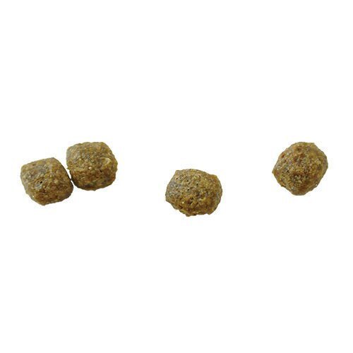 猫用 療法食 Vet Solution ベッツソリューション キャットフード 胃腸サポート 400g 無添加 MONGE(モンジ) グレインフリー 穀物不使用