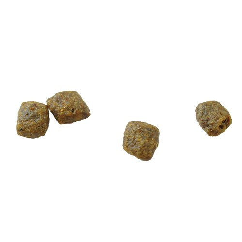 猫用 療法食 Vet Solution ベッツソリューション キャットフード 肝臓サポート 1.5kg 送料無料 無添加 MONGE(モンジ) グレインフリー 穀物不使用