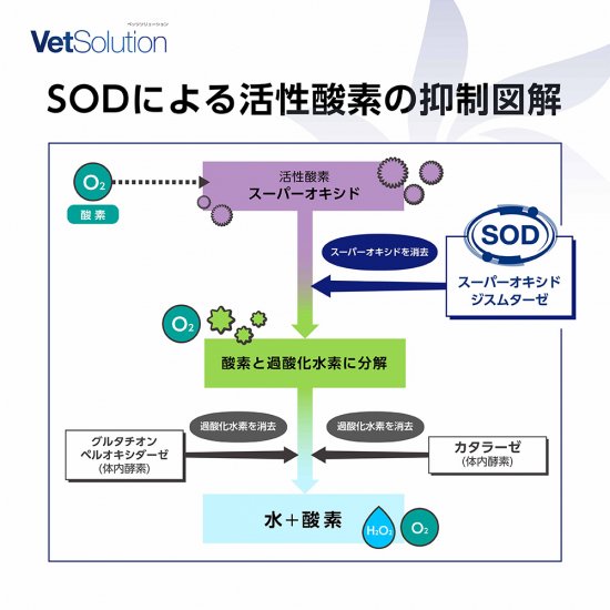 猫用 療法食 Vet Solution ベッツソリューション キャットフード 腎臓サポート 400g 無添加 MONGE(モンジ) グレインフリー 穀物不使用