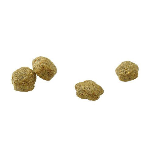 猫用 療法食 Vet Solution ベッツソリューション キャットフード 糖尿病サポート 400g 無添加 MONGE(モンジ) グレインフリー 穀物不使用