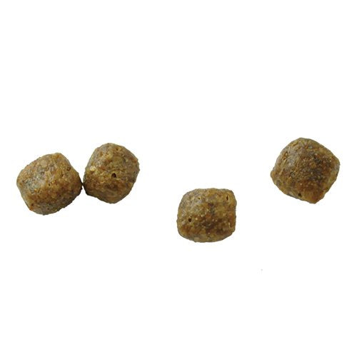 猫用 療法食 Vet Solution ベッツソリューション キャットフード 尿中ストルバイトサポート 1.5kg 送料無料 無添加 MONGE(モンジ) グレインフリー 穀物不使用