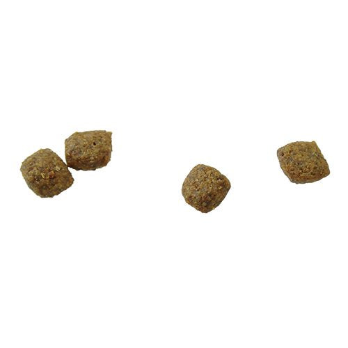 猫用 療法食 Vet Solution ベッツソリューション キャットフード 皮膚サポート 1.5kg 送料無料 無添加 MONGE(モンジ) グレインフリー 穀物不使用