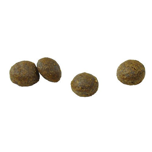 犬用 療法食 Vet Solution ベッツソリューション ドッグフード 胃腸サポート 2kg 送料無料 無添加 MONGE(モンジ) グレインフリー 穀物不使用
