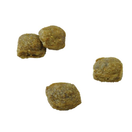 犬用 療法食 Vet Solution ベッツソリューション ドッグフード 胃腸サポート パピー用 1kg 無添加 MONGE(モンジ) グレインフリー 穀物不使用