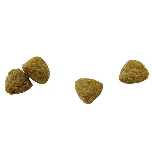 犬用 療法食 Vet Solution ベッツソリューション ドッグフード 肝臓サポート 400g 無添加 MONGE(モンジ) グレインフリー 穀物不使用