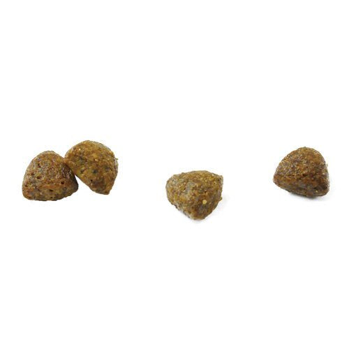 犬用 療法食 Vet Solution ベッツソリューション ドッグフード 心臓サポート 400g 無添加 MONGE(モンジ) グレインフリー 穀物不使用