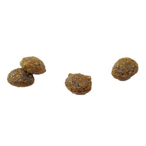 犬用 療法食 Vet Solution ベッツソリューション ドッグフード 皮膚サポート 2kg 送料無料 無添加 MONGE(モンジ) グレインフリー 穀物不使用