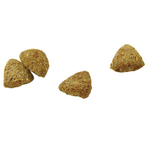犬用 療法食 Vet Solution ベッツソリューション ドッグフード 肥満サポート 400g 無添加 MONGE(モンジ) グレインフリー 穀物不使用