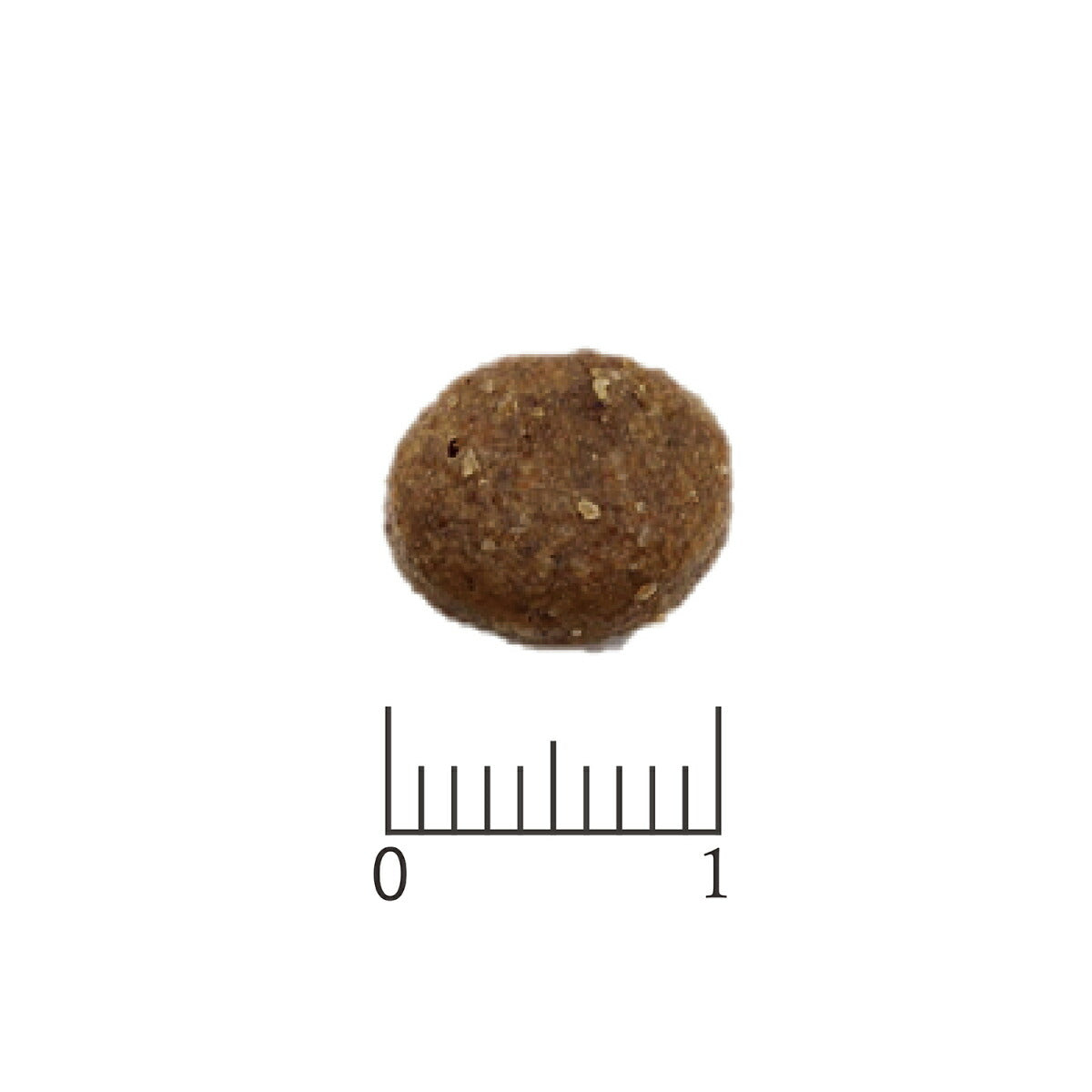 ベッツソリューション ドッグフード 食事療法食 犬用 皮膚サポート 3kg【送料無料】