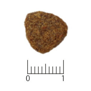 ベッツソリューション VetSolution 食事療法食 ドッグフード 犬用腎臓&シュウ酸結石サポート 800g ナチュラル 無添加