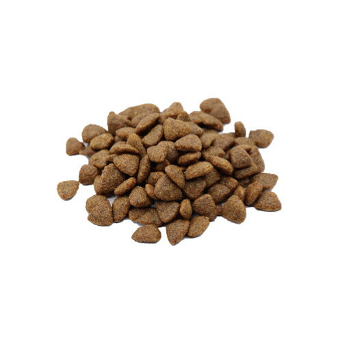 ベッツソリューション VetSolution 食事療法食 ドッグフード 犬用腎臓&シュウ酸結石サポート 800g ナチュラル 無添加