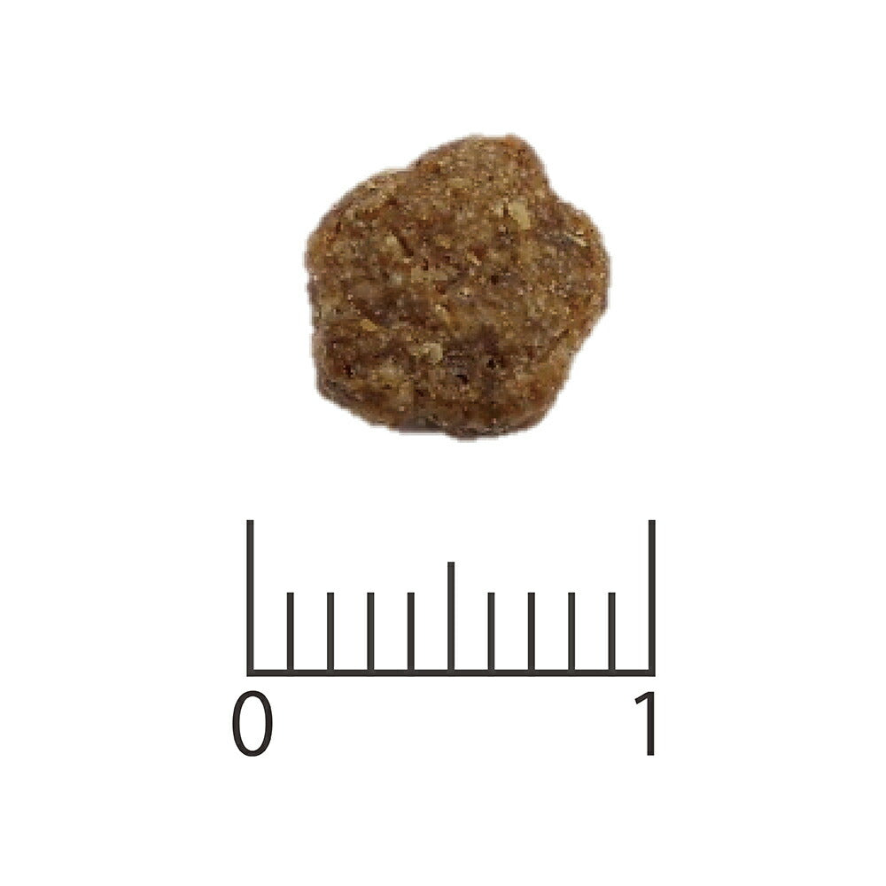 ベッツソリューション VetSolution 食事療法食 キャットフード 猫用肥満サポート 2kg【送料無料】 ナチュラル 無添加