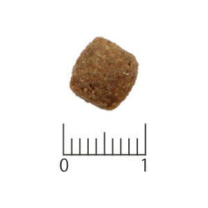 ベッツソリューション VetSolution 食事療法食 キャットフード 猫用胃腸サポート 400g ナチュラル 無添加