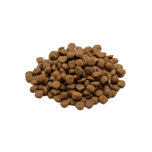 ベッツソリューション VetSolution 食事療法食 キャットフード 猫用胃腸サポート 400g ナチュラル 無添加