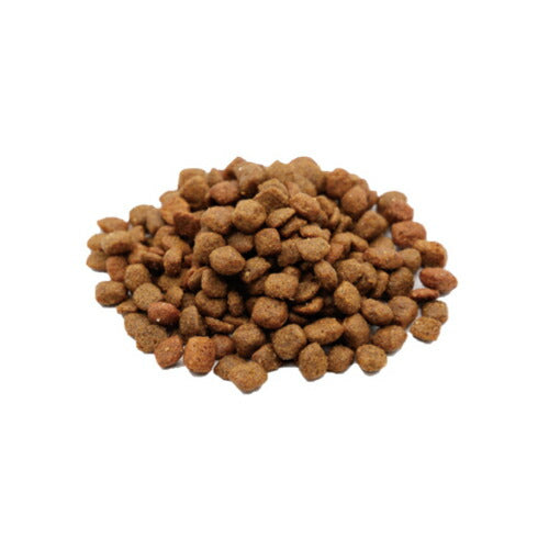 ベッツソリューション VetSolution 食事療法食 キャットフード 猫用腎臓サポート 400g ナチュラル 無添加