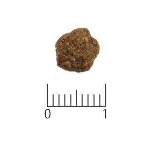 ベッツソリューション VetSolution 食事療法食 キャットフード 猫用肥満サポート 400g ナチュラル 無添加