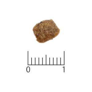 ベッツソリューション VetSolution 食事療法食 キャットフード 猫用肝臓サポート 400g ナチュラル 無添加