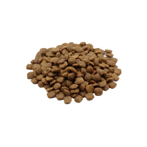 ベッツソリューション VetSolution 食事療法食 キャットフード 猫用肝臓サポート 400g ナチュラル 無添加