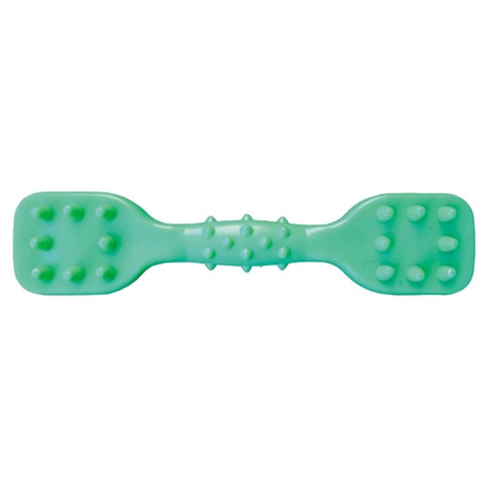 ウィルインターナショナル チューイングブラッシュボーン ミント S