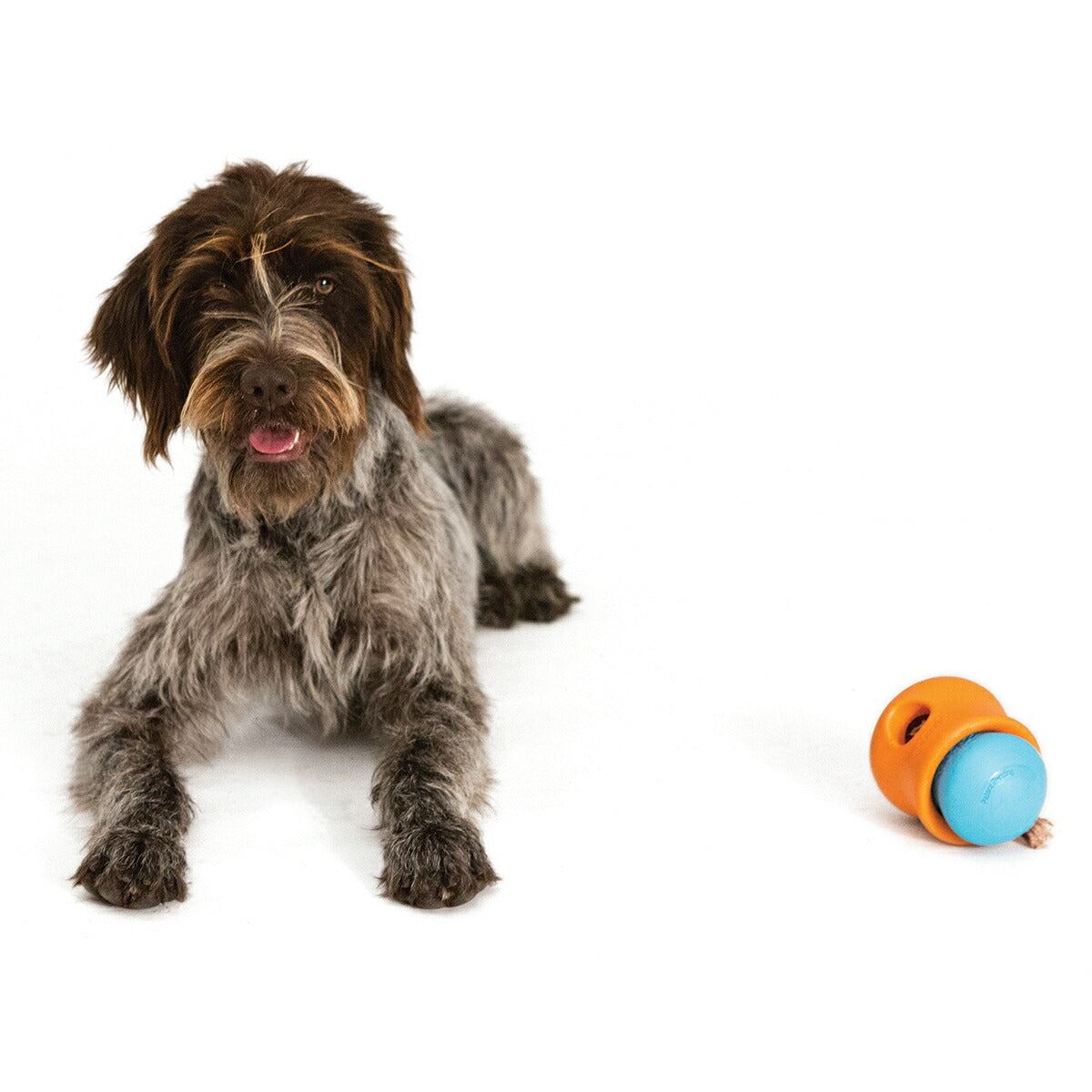 ウェストポウ ゾゴフレックス タップル L タンジェリンオレンジ