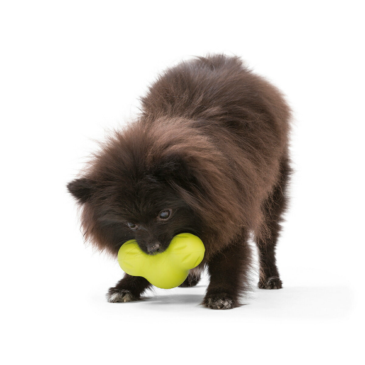 ウェストポウ ゾゴフレックス タックス S グラニースミスグリーン