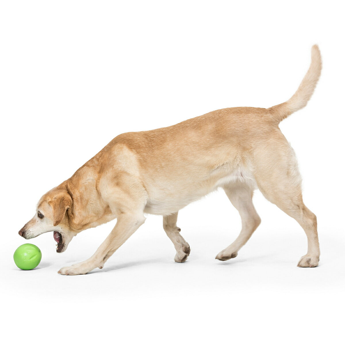 ウェストポウ ゾゴフレックス・エコー ランダ L ジャングルグリーン