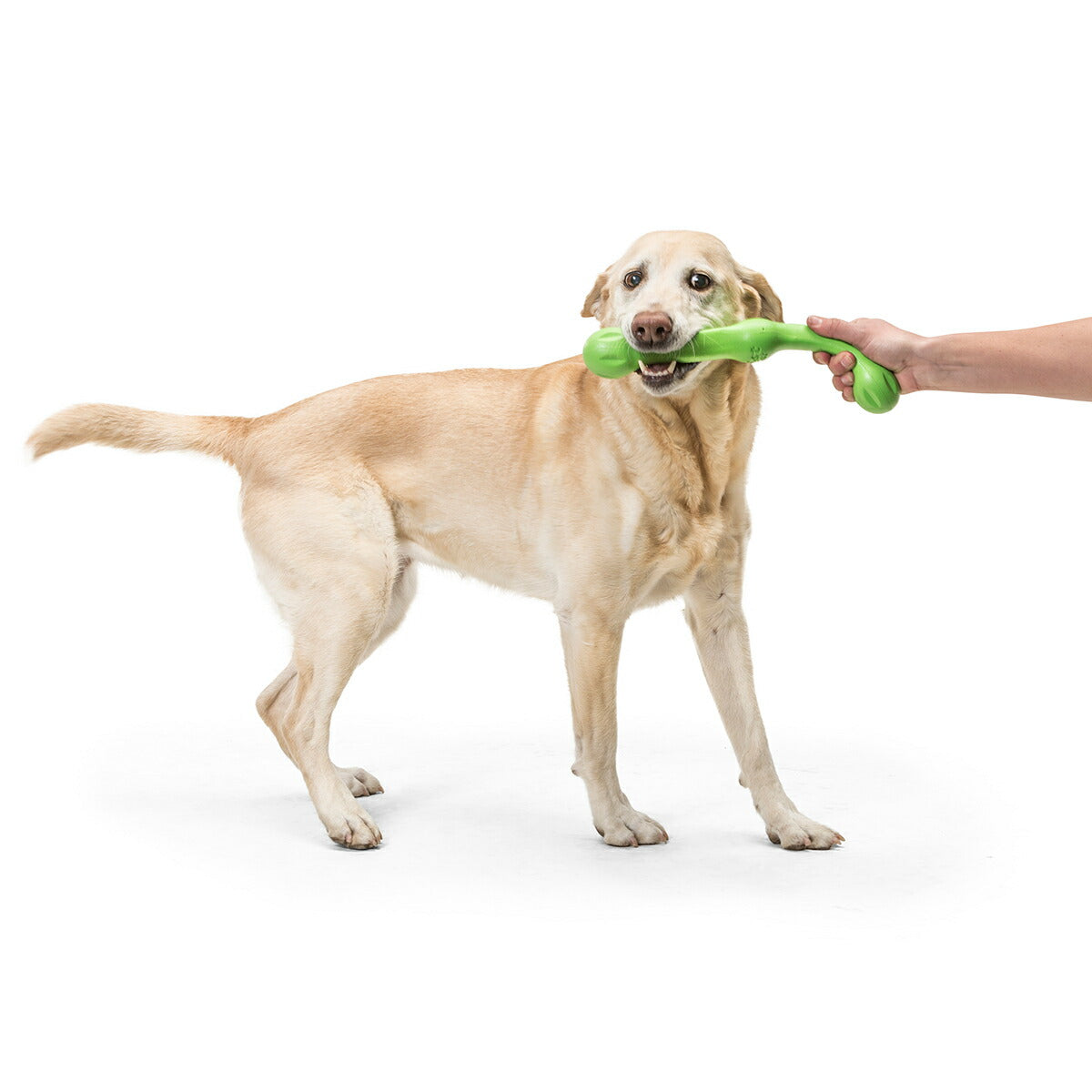 ウェストポウ ゾゴフレックス・エコー ズイッグ L ジャングルグリーン