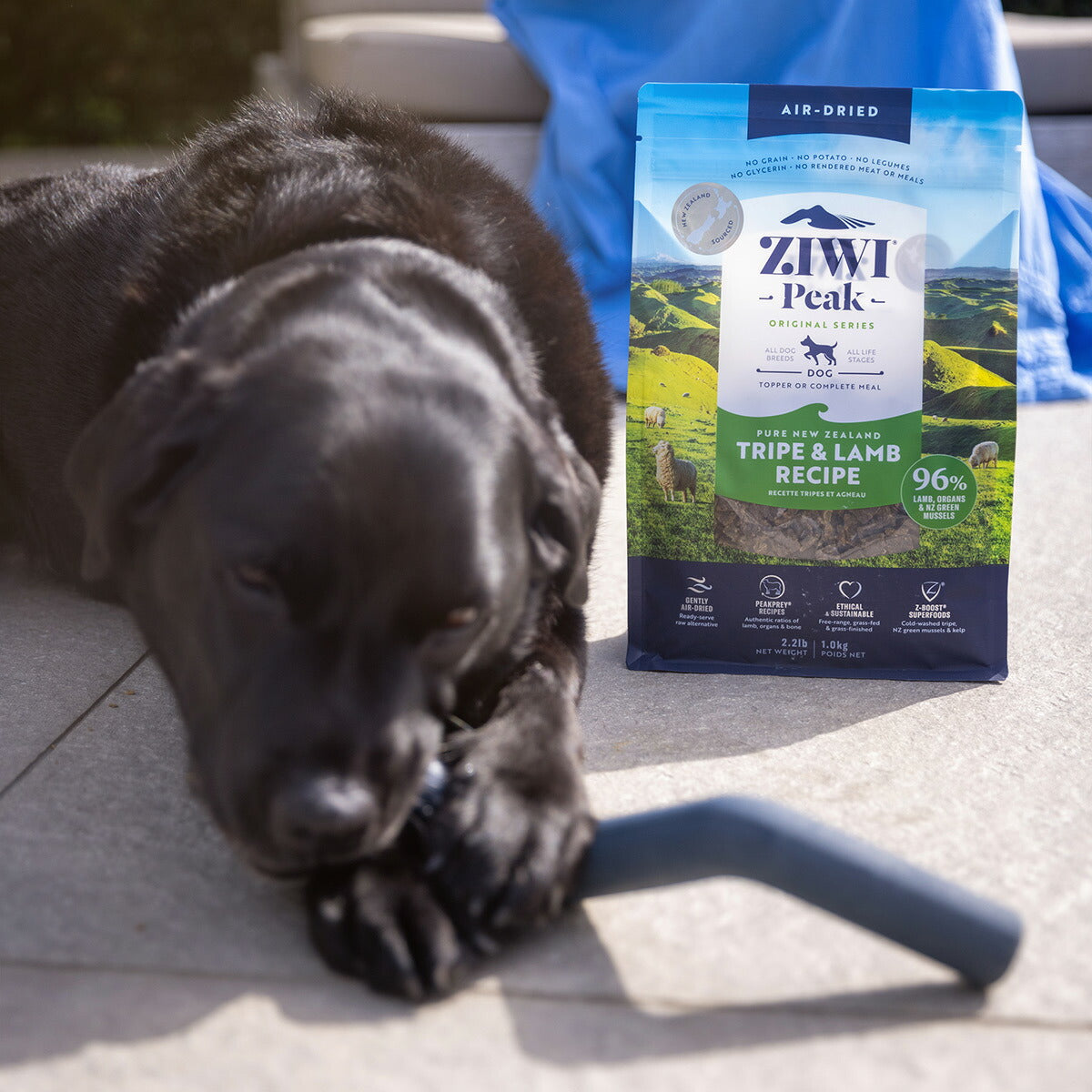 ジウィ ZIWI エアドライ ドッグフード トライプ&ラム 454g【送料無料】 正規品 無添加 ジウィピーク