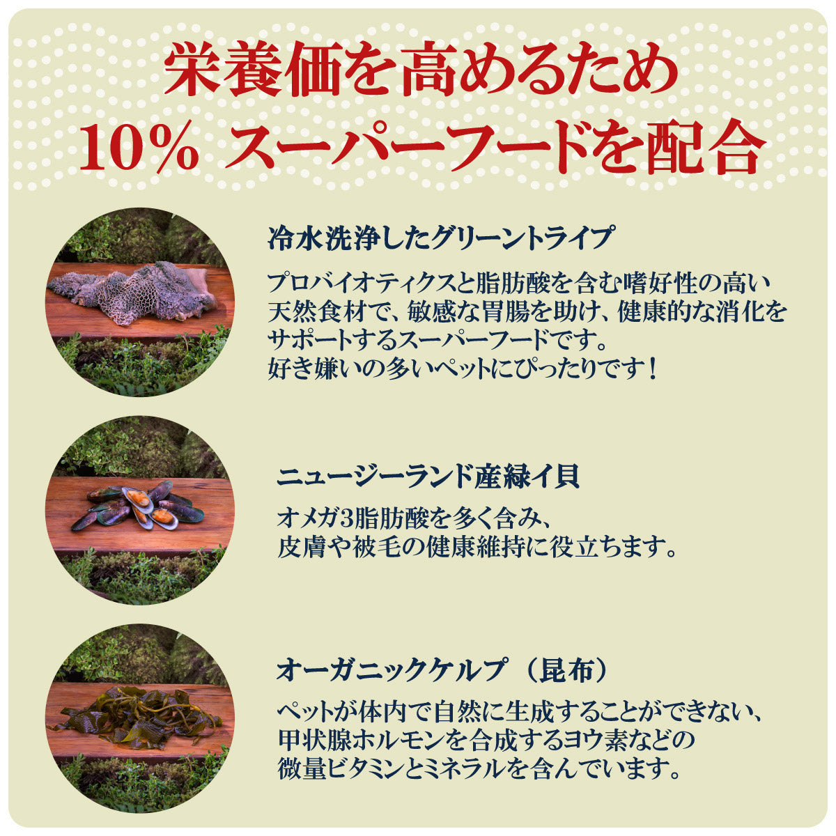 ジウィ ZIWI ドッグフード ドッグ缶 グラスフェッドビーフ 390g×12缶【送料無料】 正規品 無添加 ジウィピーク