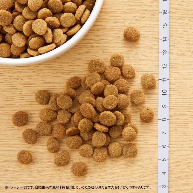 ニュートロ ナチュラルチョイス ドッグフード ラム＆玄米 子犬用 全犬種用 3kg 無添加 プレミアム