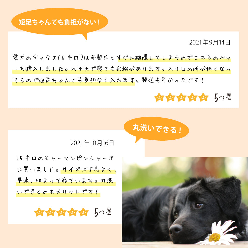 ファープラスト ベッド シエスタ DX 6 ドーブグレー ベッド 小型犬 オールシーズン