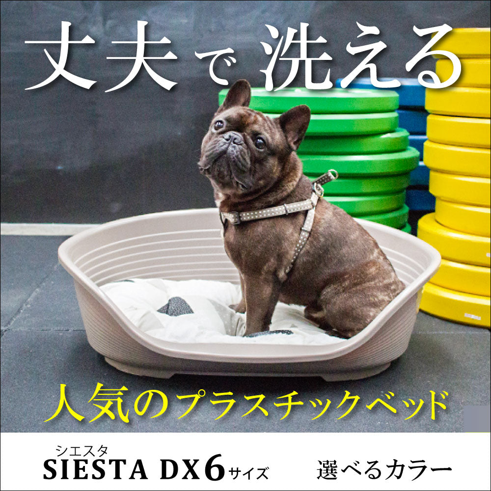 ファープラスト ベッド シエスタ DX 6 ドーブグレー ベッド 小型犬 オールシーズン