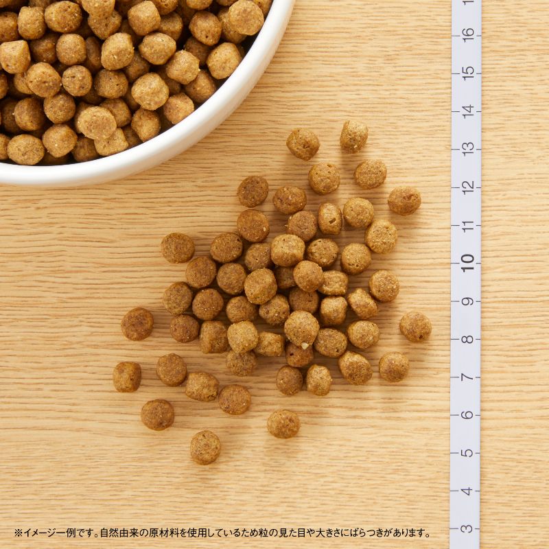 ニュートロ ナチュラルチョイス ドッグフード ラム＆玄米 超小型犬～小型犬 成犬用 3kg 無添加 犬用品ペット用品 [NC-AD]