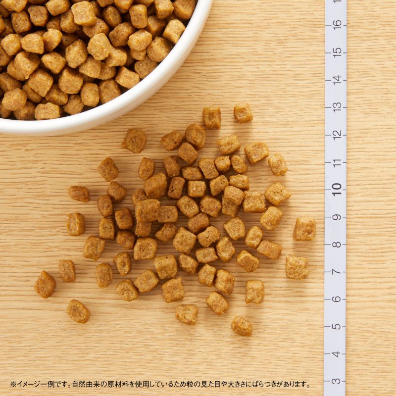 ニュートロ ナチュラルチョイス ドッグフード 小型犬 成犬用 チキン＆玄米 3kg 無添加 プレミアム/いぬ/ペットグッズ