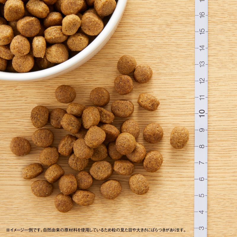 ニュートロ ナチュラルチョイス ドッグフード ラム＆玄米 中型犬～大型犬 成犬用 7.5kg 無添加 プレミアム 送料無料 [NC-AD]