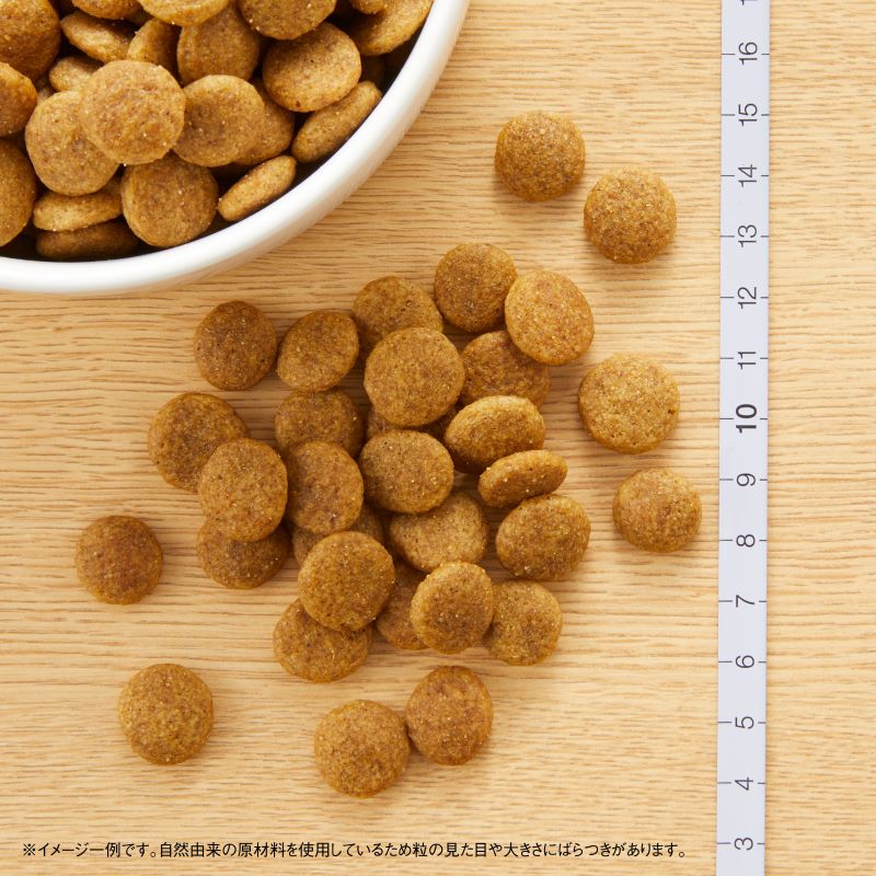 ニュートロ ナチュラルチョイス ドッグフード 中型犬～大型犬 成犬用 チキン＆玄米 15kg 無添加 犬送料無料 [NC-AD]