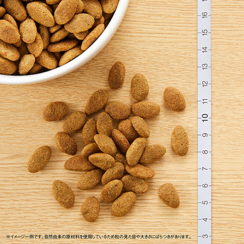 ニュートロ シュプレモ ドッグフード 成犬用 アダルト 2kg NUTOR ドッグフード 無添加 犬 犬用品 ペット用品 [SP-AD]