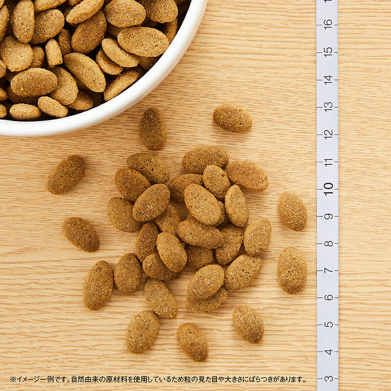 ニュートロ シュプレモ ドッグフード 全犬種 体重管理用 2kg NUTOR ドッグフード 無添加 ごはん プレミアム [SP-WT]