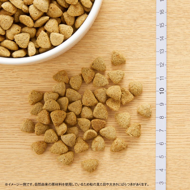 ニュートロ ナチュラルチョイス ドッグフード 減量用 成犬用 ラム＆玄米 13.5kg 無添加 犬用品ペット用品 送料無料