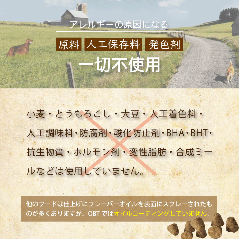 オーブンベークド トラディション ドッグフード ヴィーガン（小粒） 1.81kg【送料無料】