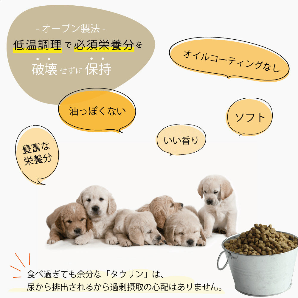 オーブンベークド トラディション ドッグフード ヴィーガン（小粒） 1.81kg【送料無料】