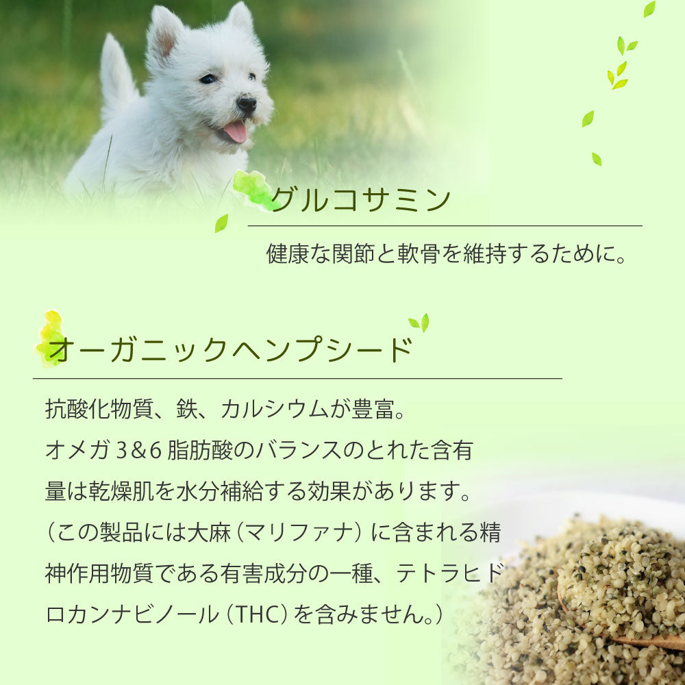 オーブンベークド トラディション ドッグフード ヴィーガン（小粒） 1.81kg【送料無料】