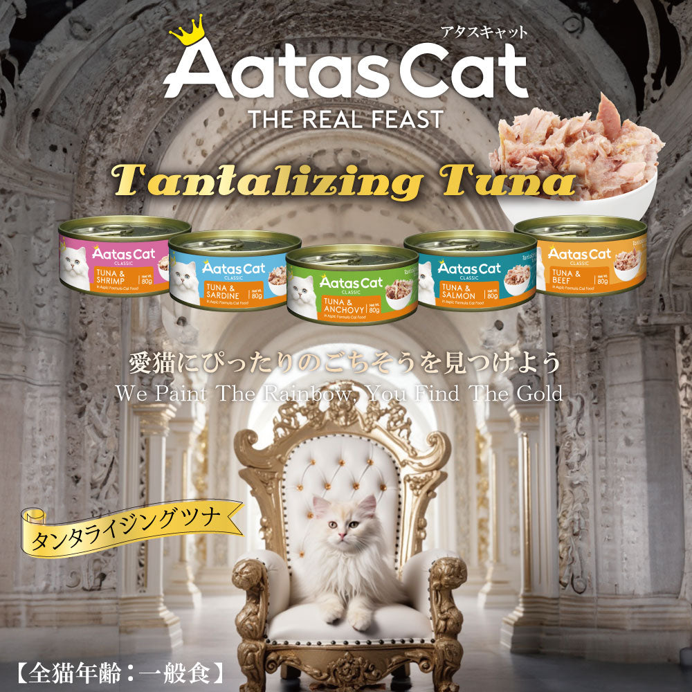 アタス Aatas キャットフード タンタライジング ツナ＆サーモン 80g×24缶【送料無料】