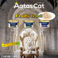アタス Aatas キャットフード フルーティーフィースト チキンwithココナッツウォーター 70g