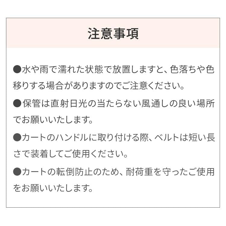 エアバギー フォー ペット AIRBUGGY FOR PET WIZ ウォータープロテクトオーガナイザー サンド【送料無料】