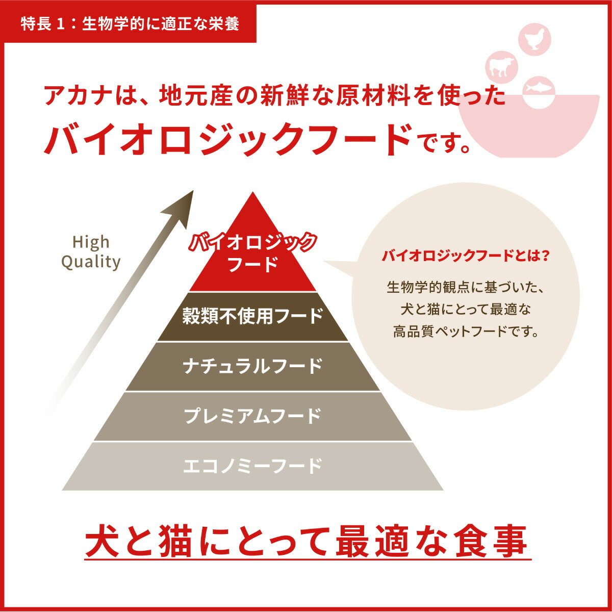 アカナ ACANA ドッグフード パピースモールブリードレシピ 小型犬 子犬用 穀物不使用 2kg×7個セット