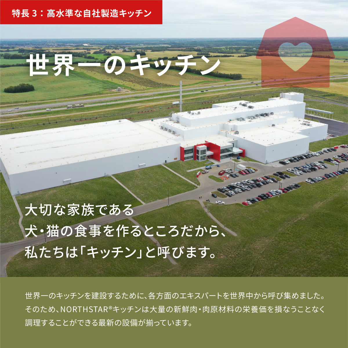 アカナ ACANA キャットフード ホームステッドハーベスト 穀物不使用 4.5kg